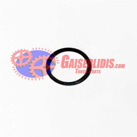 Ροδέλα Γραναζάκι Πλανητικού 8874827