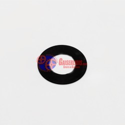 Ροδέλα 1392093