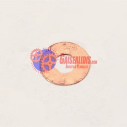 Ροδέλα Άξονα Αντλίας 1652841