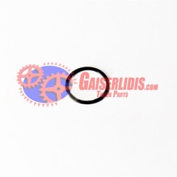 Ροδέλα Γραναζάκι Πλανητικού 8872741