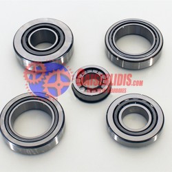 Σετ Ρουλεμάν Διαφορικού DAF 1347 298350