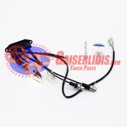 Πλεξούδα Εγκεφάλου AT/ATO 21911586