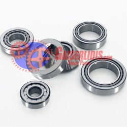 Σετ Ρουλεμάν Διαφορικού 550814 Σετ Ρουλεμάν Διαφορικού 550814