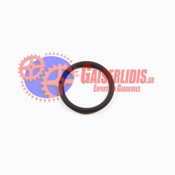 O-Ring 949658