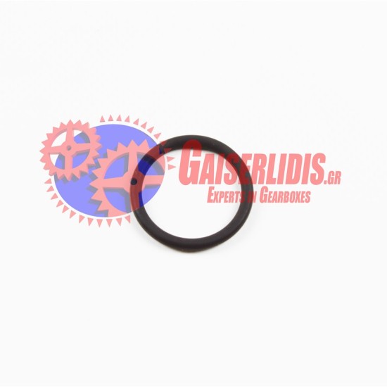O-Ring 949658