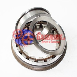 Ρουλεμάν Μπρίζντερεκ ΕΑΤΟΝ Χ8872593