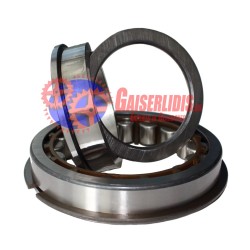 Ρουλεμάν Μπρίζντερεκ ΕΑΤΟΝ Χ8872593